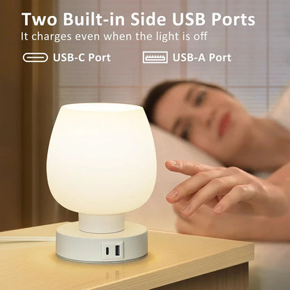 Touch Dimming LED Desk Lamp - USB, Eye Protection, Night Light